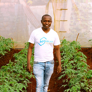 Man standing among tomato plants in a greenhouse, wearing a white Solar Flare logo t-shirt and jeans.