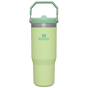 Swatch for Stanley 1913 The IceFlow™ Flip Straw Tumbler 30 OZ in Citron