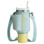Swatch for Stanley 1913 The All Day 40 OZ Quencher Carry-All in Mist