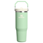 Swatch for Stanley 1913 The IceFlow™ Flip Straw Tumbler 30 OZ in Pistachio