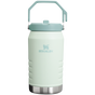 Swatch for Stanley 1913 The IceFlow™ Flip Straw Jug 64 OZ in Mist