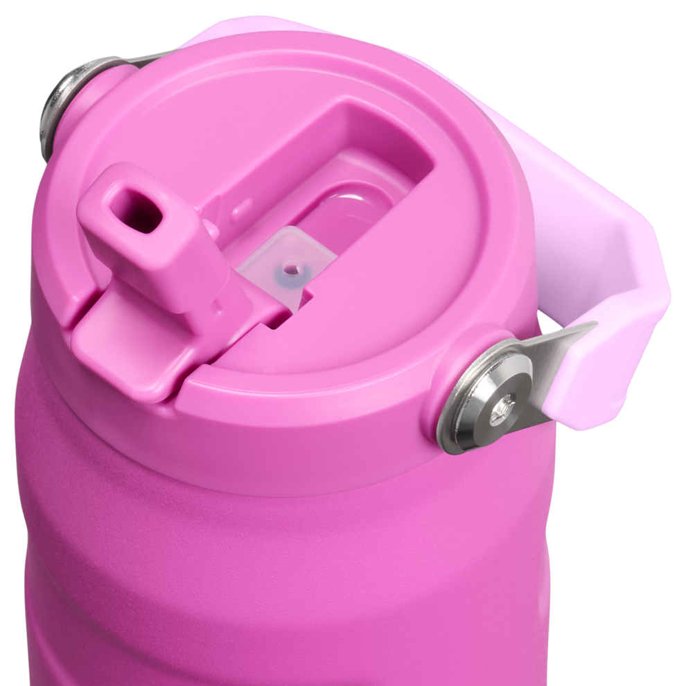 Stanley 1913 The IceFlow™ Bottle with Flip Straw Lid 24 OZ in Dark Blossom