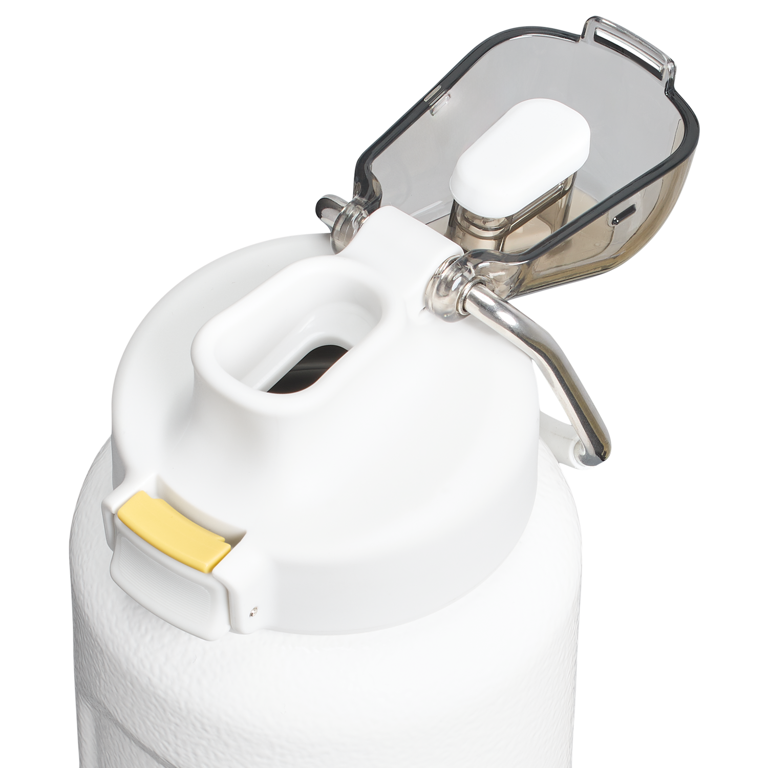 Stanley 1913 The Wellspring Bottle 32 OZ in Hammertone Frost | View 2